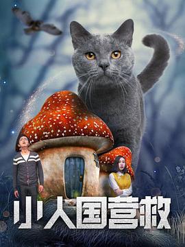 在线观看国产