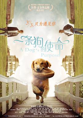 春雨电影大全免费动漫版下载观看