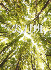 九色丨9lpony丨国产
