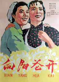 半岛lvk