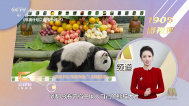 直播的新人上任